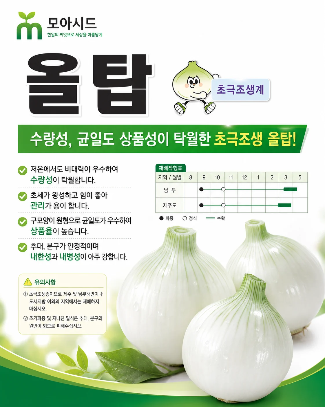 올탑 양파