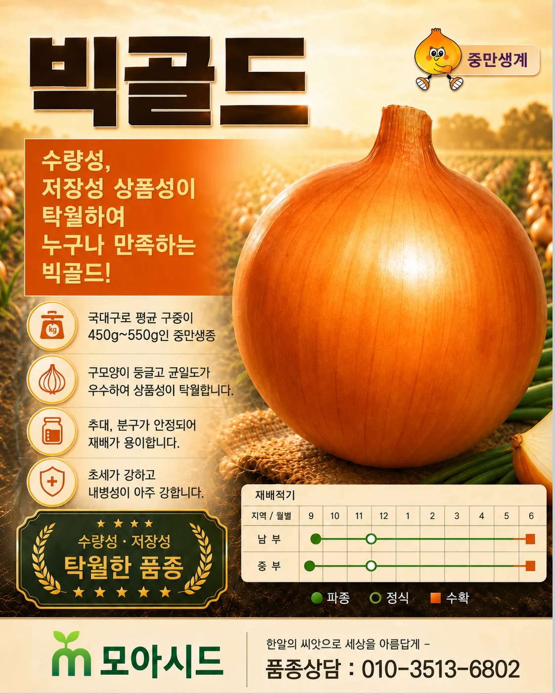 빅골드