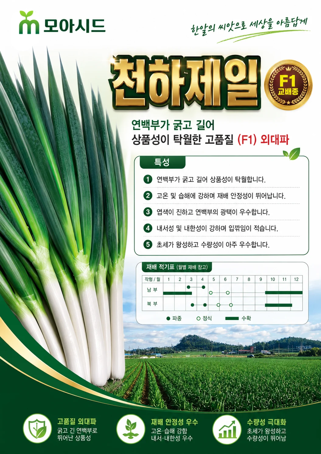 천하제일 대파