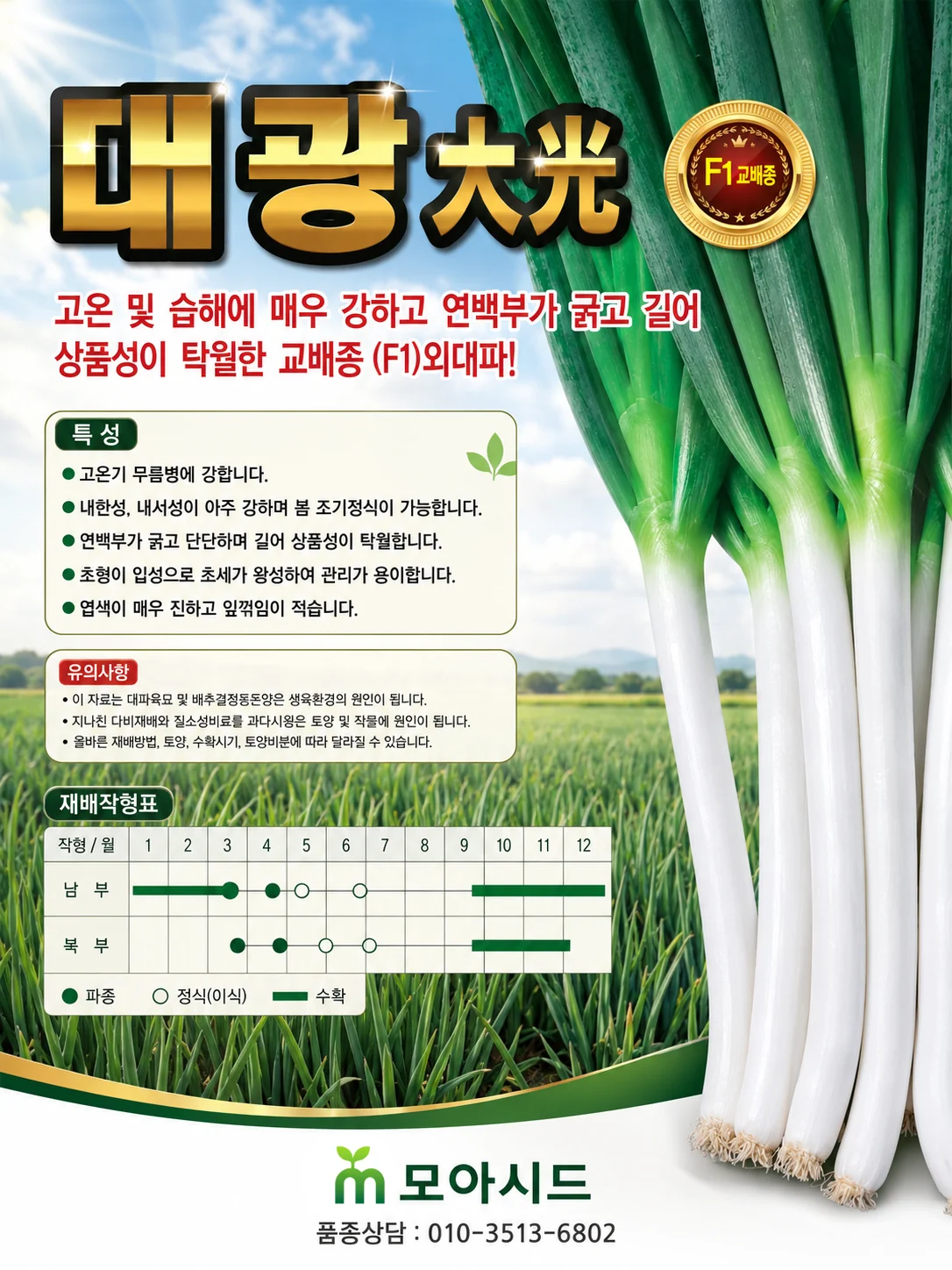 대광 대파