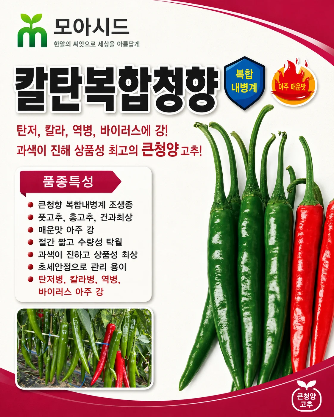 칼탄복합청향