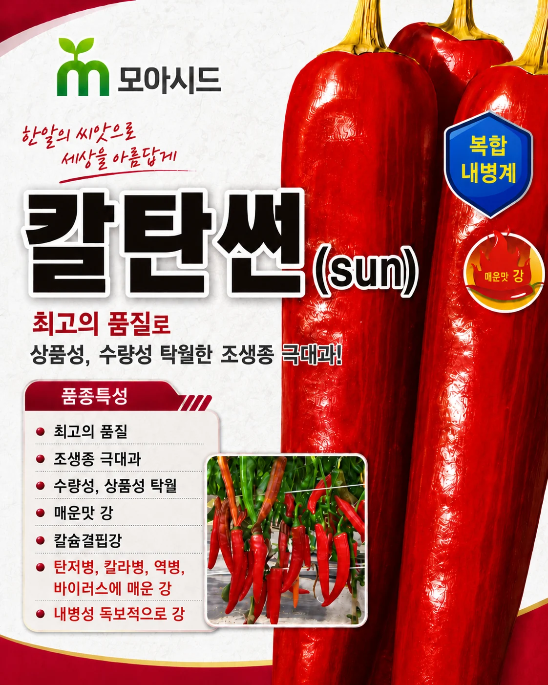 칼탄썬 고추