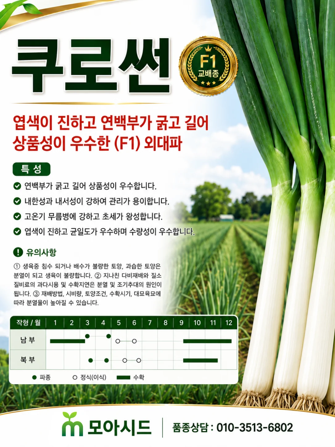 쿠로썬 대파