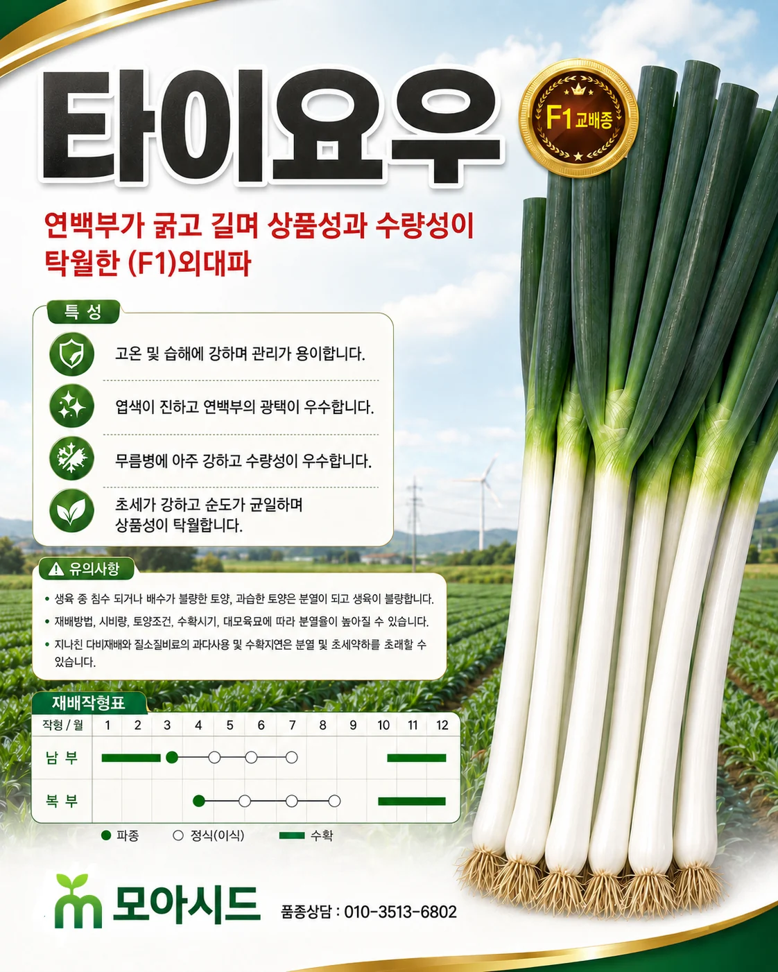 타이요우